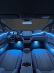 Đèn nội thất BYD Dolphin